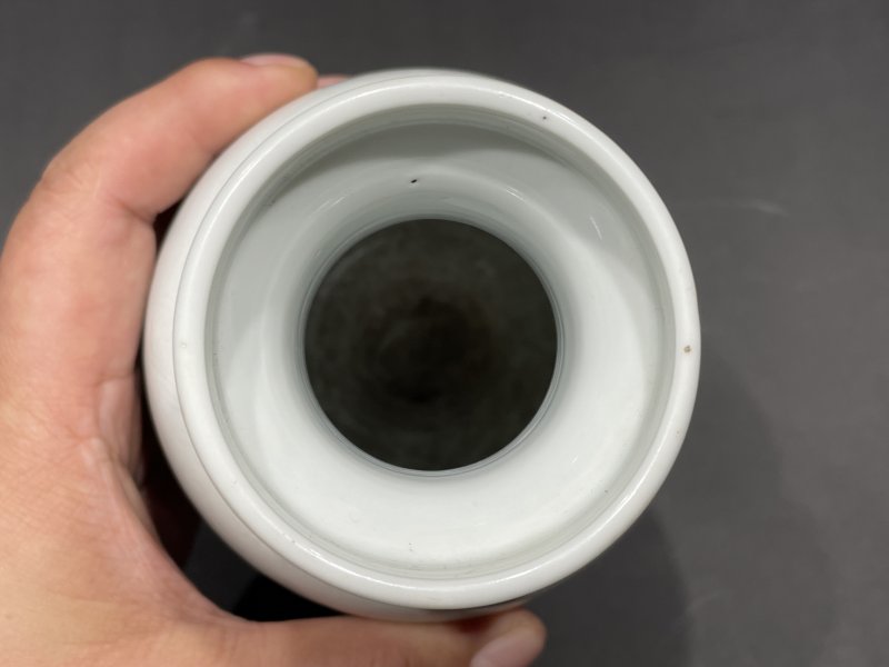 清康熙 白釉暗刻花卉纹盘口瓶 - 图6