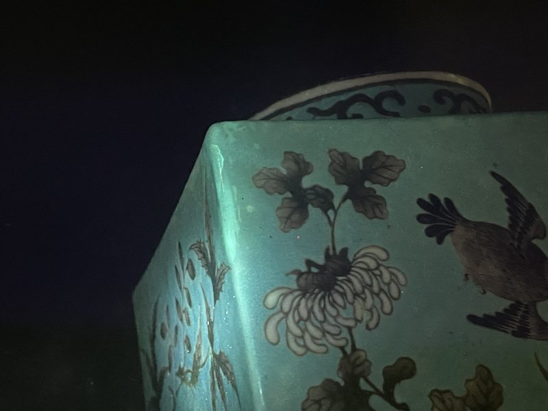 清光绪 松石绿地墨彩花鸟纹琮式瓶一对 - 图16