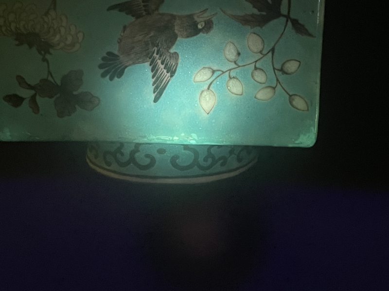 清光绪 松石绿地墨彩花鸟纹琮式瓶一对 - 图21