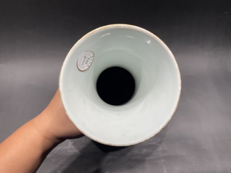 清光绪 粉彩百蝶纹赏瓶 - 图9