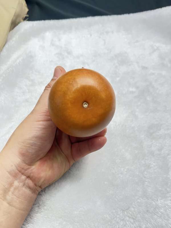 匏制素面渣斗形虫具 - 图7