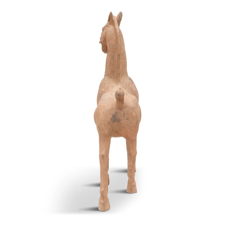 仿漢 大陶馬 | A LARGE POTTERY FIGURE OF A PRANCING HORSE - 图2