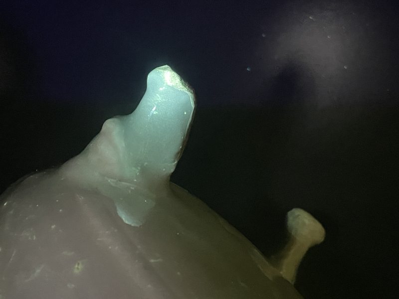 明 耀州窑月白釉狮腿三足炉 - 图13