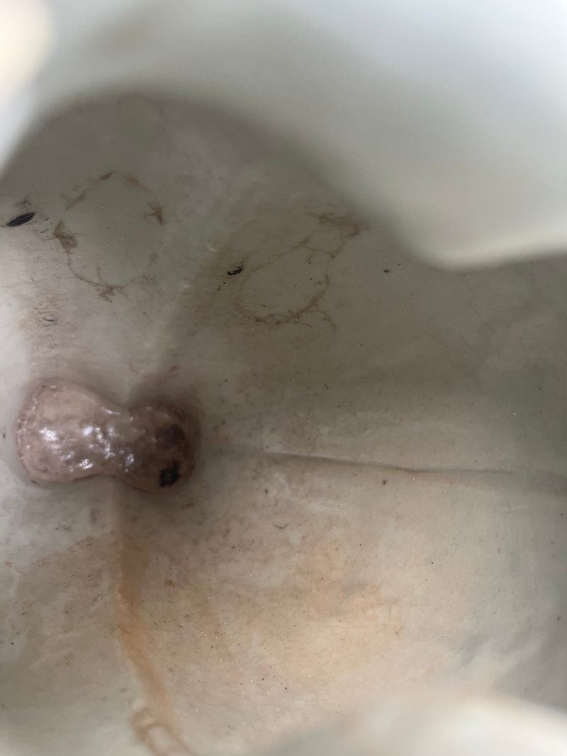 清乾隆  窑变釉双联合欢瓶 - 图14