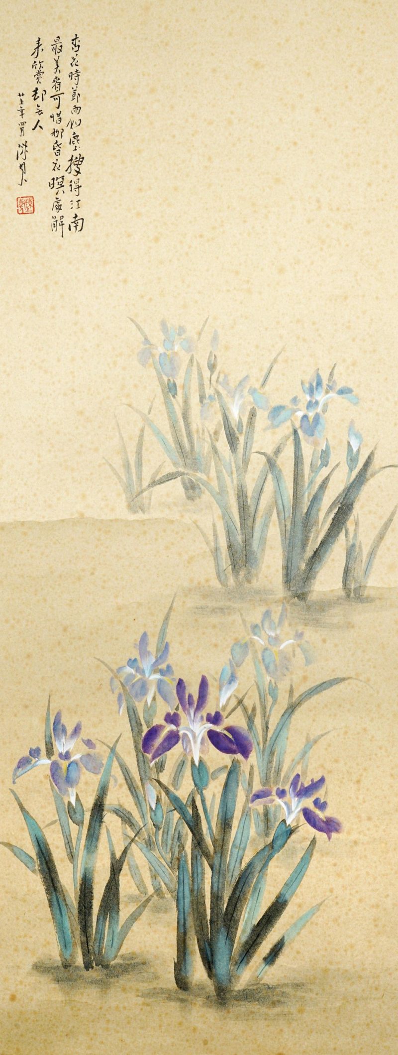    佚名 蘭花