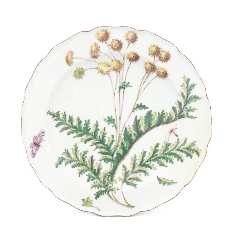A Chelsea 'Hans Sloane' botanical plate, circa 1755-57