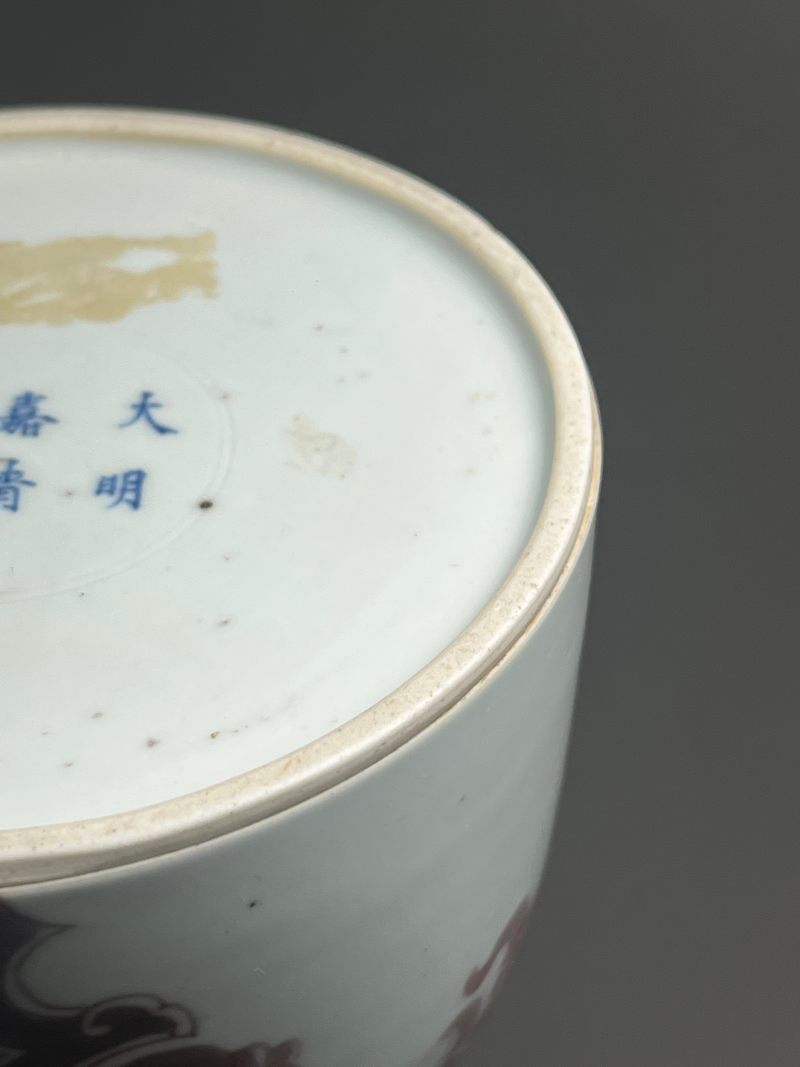 清康熙  青花釉里红夔凤开光花鸟纹双陆尊（附木盒） - 图20