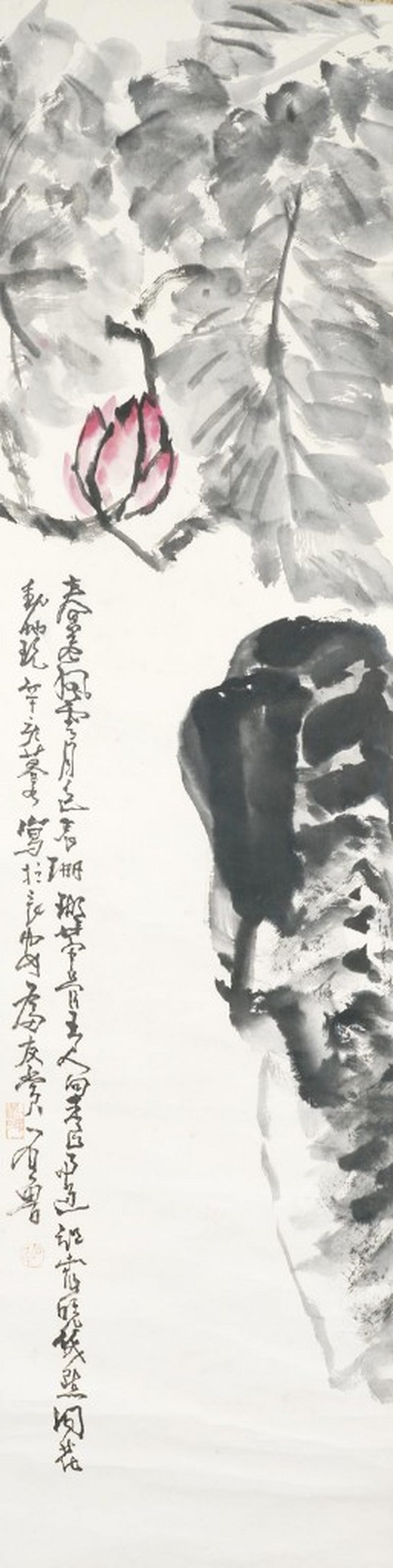    石魯 花卉