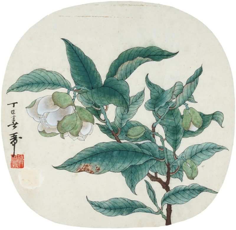    吳灝 花