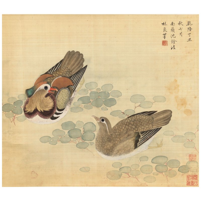 （款）沈銓 倣林良鴛鴦浮萍 設色絹本 立軸 | AFTER SHEN QUAN
