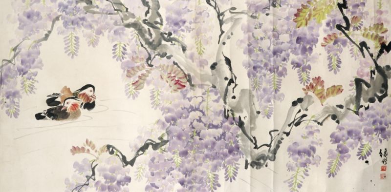    葉綠野 紫藤鴛鴦