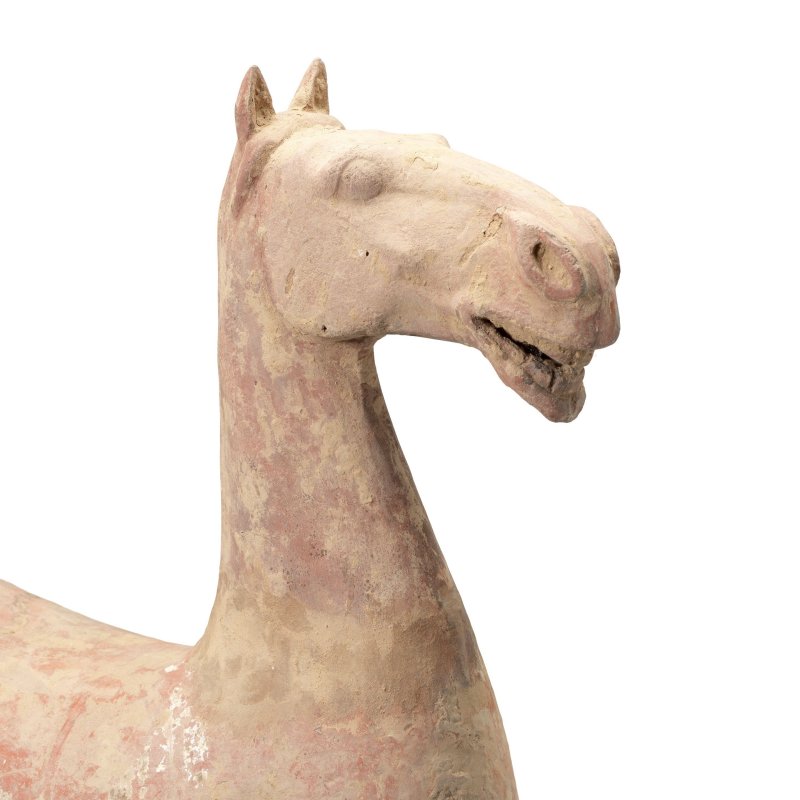 漢 彩繪陶馬俑 | A LARGE PAINTED POTTERY MODEL OF A HORSE - 图4