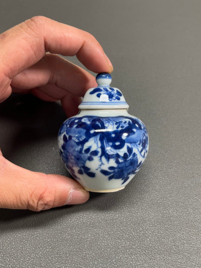 清康熙  青花虫草纹小盖罐 - 图3