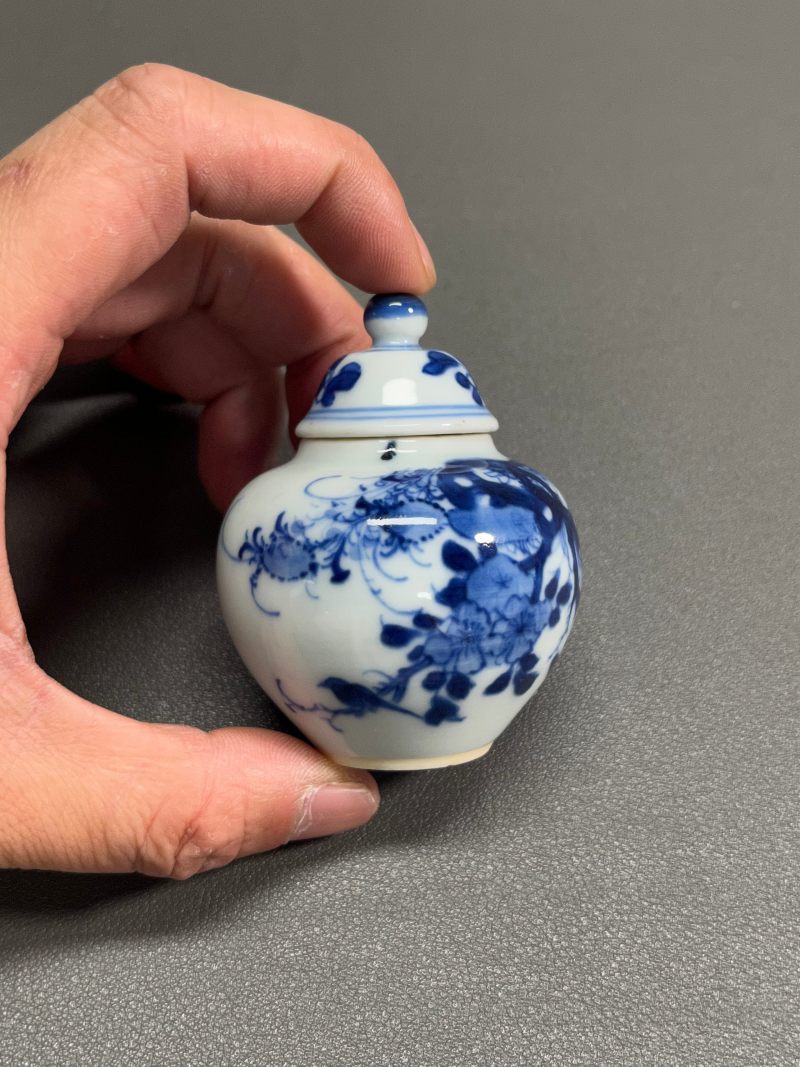 清康熙  青花虫草纹小盖罐 - 图4