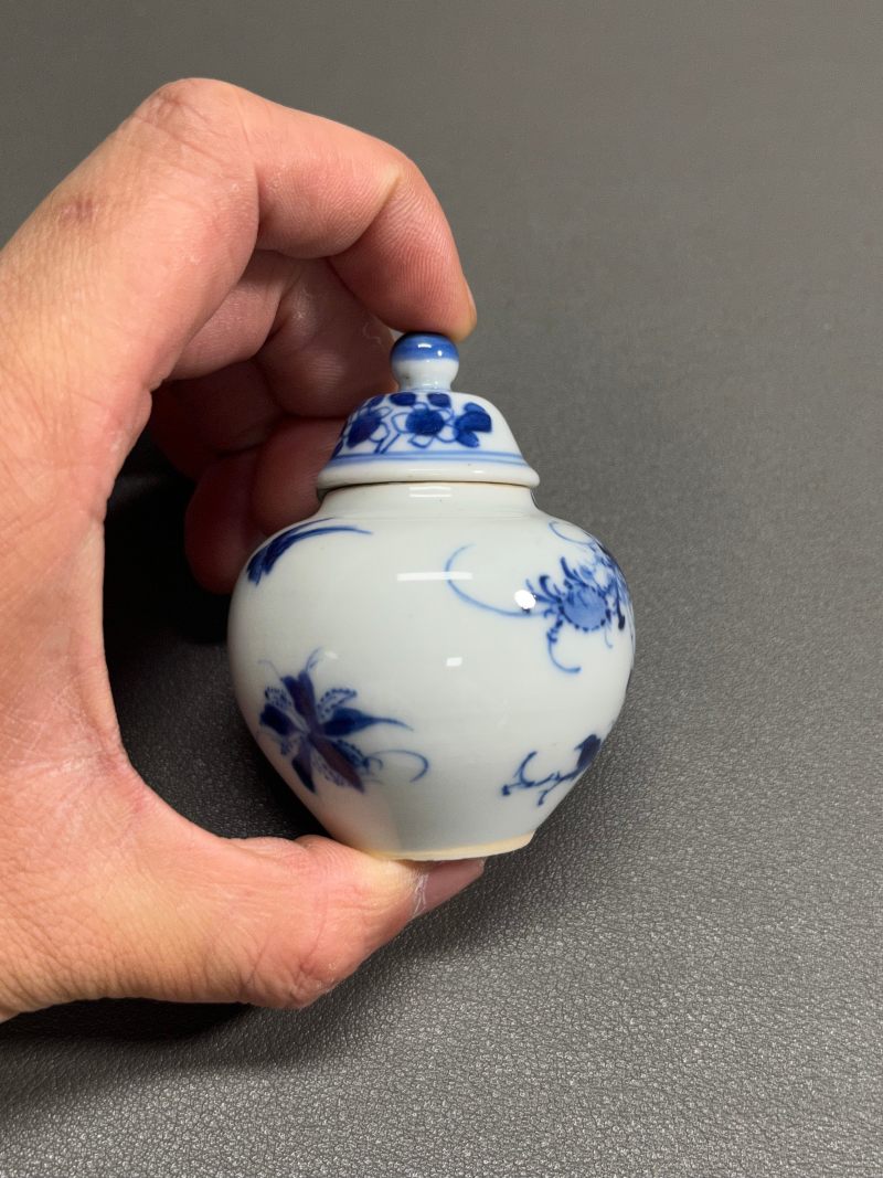 清康熙  青花虫草纹小盖罐 - 图5