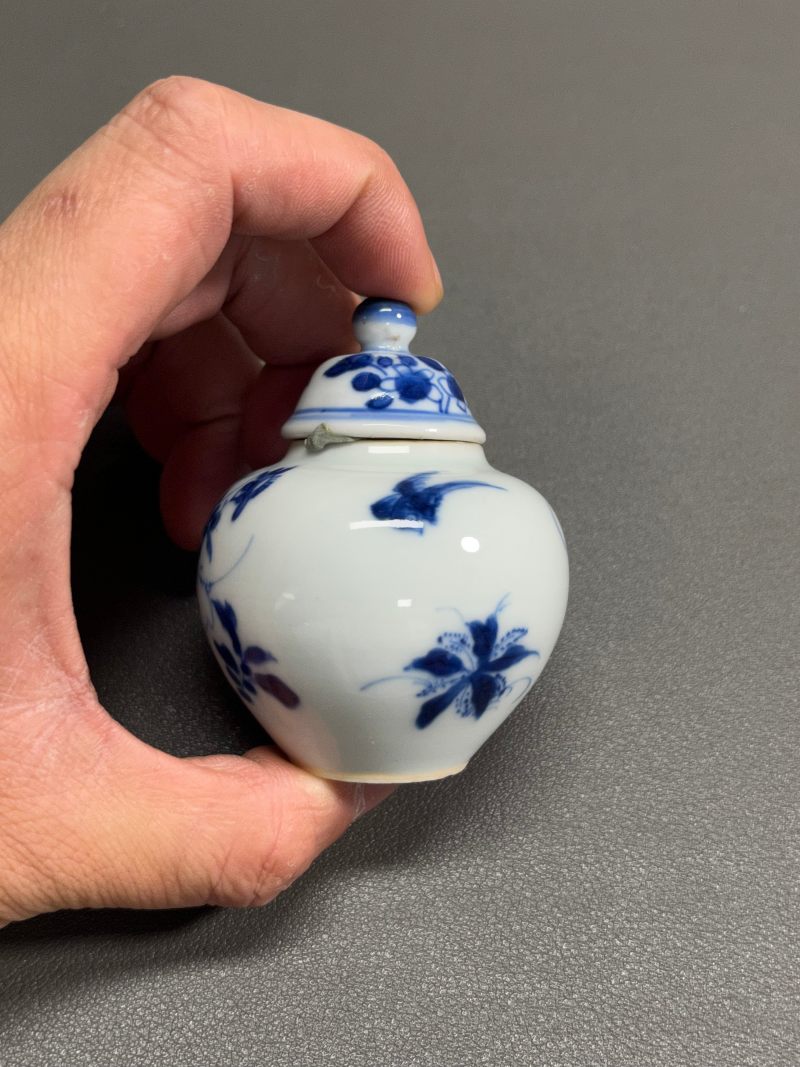 清康熙  青花虫草纹小盖罐 - 图6