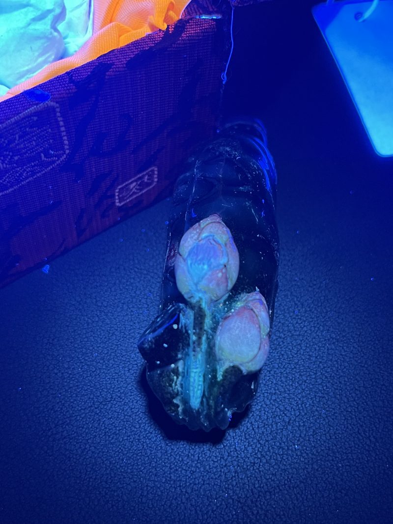 清  仿生荷叶莲花鼻烟壶 - 图14