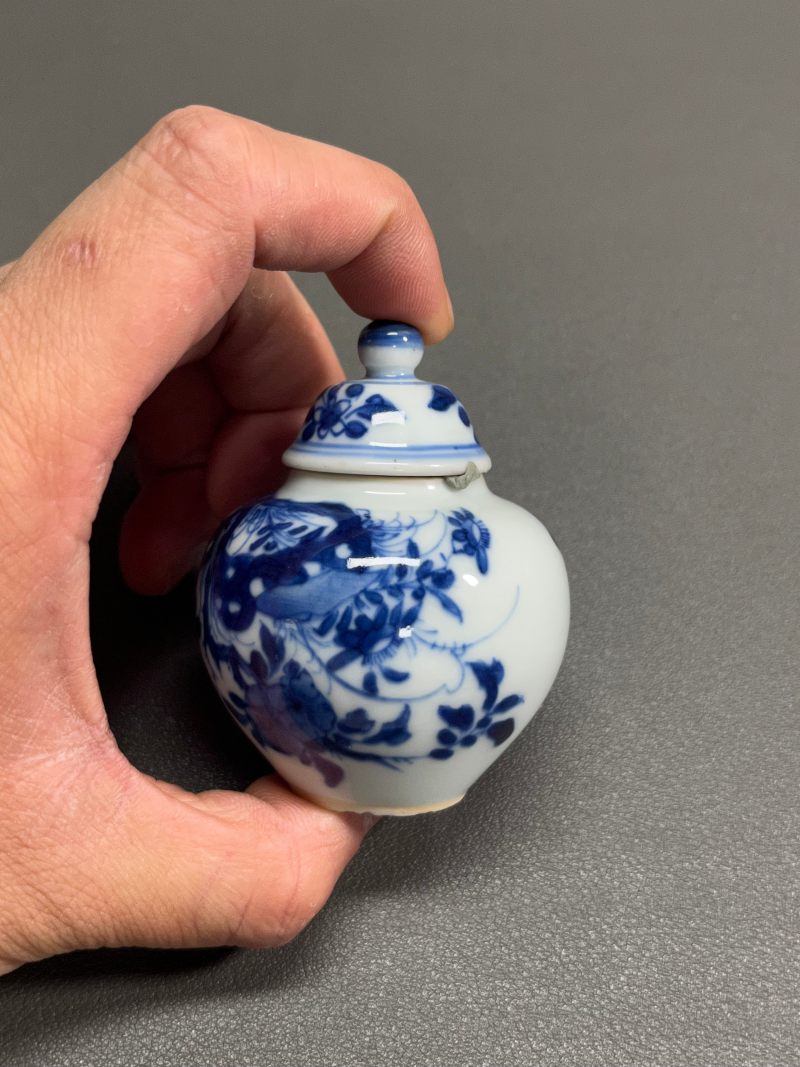 清康熙  青花虫草纹小盖罐 - 图7
