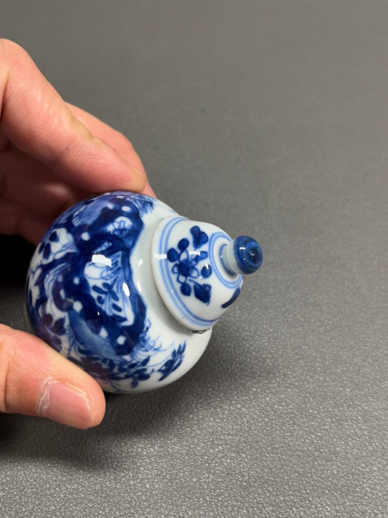 清康熙  青花虫草纹小盖罐 - 图9