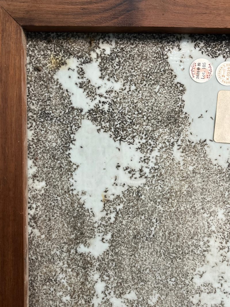 清嘉庆  洋彩花卉纹瓷板 - 图13