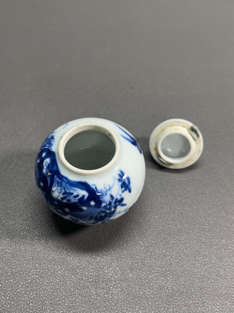 清康熙  青花虫草纹小盖罐 - 图10