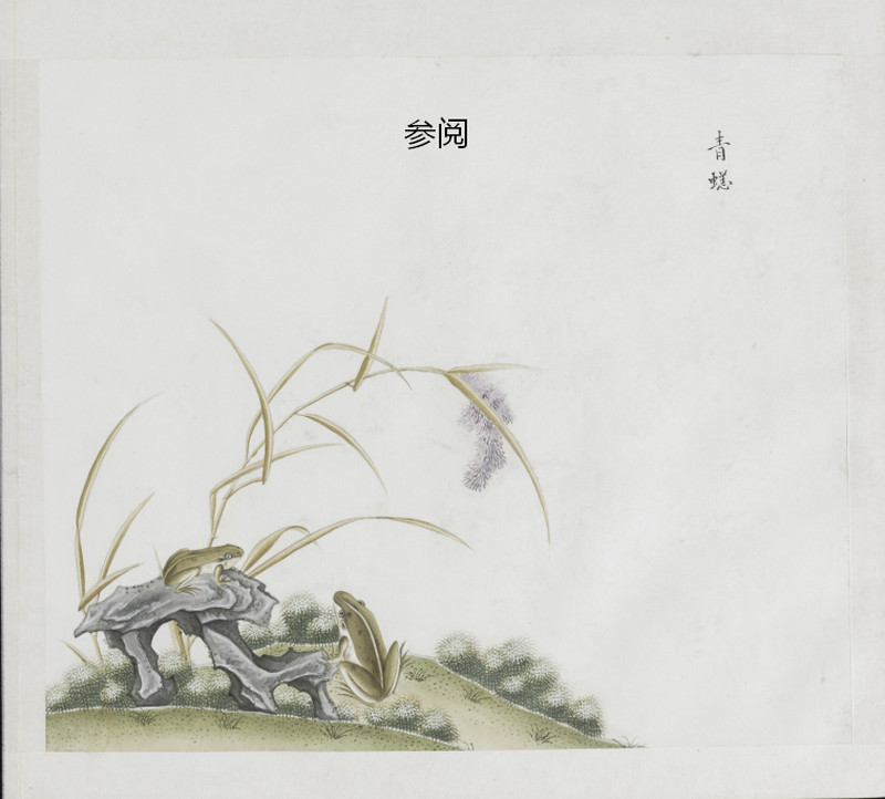 清中期  青花釉里红“五蛙闹荷塘”图挂屏 - 图2
