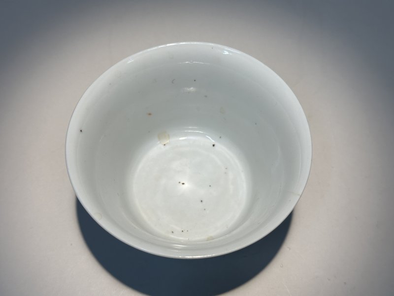 清宣统 粉彩花鸟纹碗 - 图2