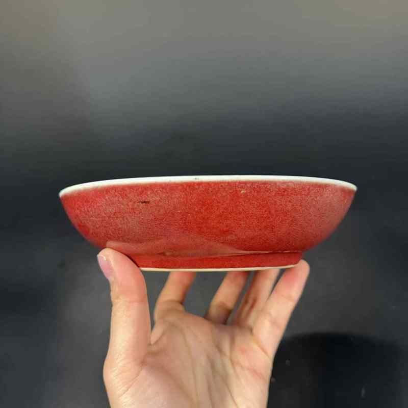 清康熙 霁红釉盘 - 图6