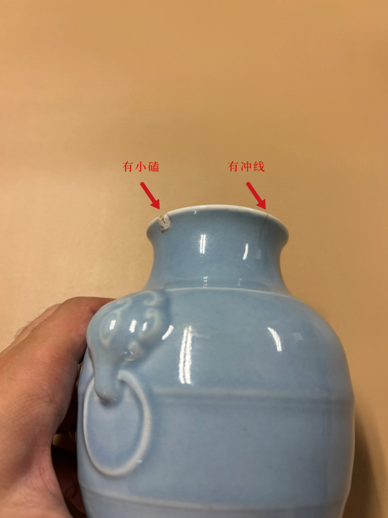 清晚期 天蓝釉铺首尊、天蓝釉夔龙纹双耳瓶一组两件 - 图15
