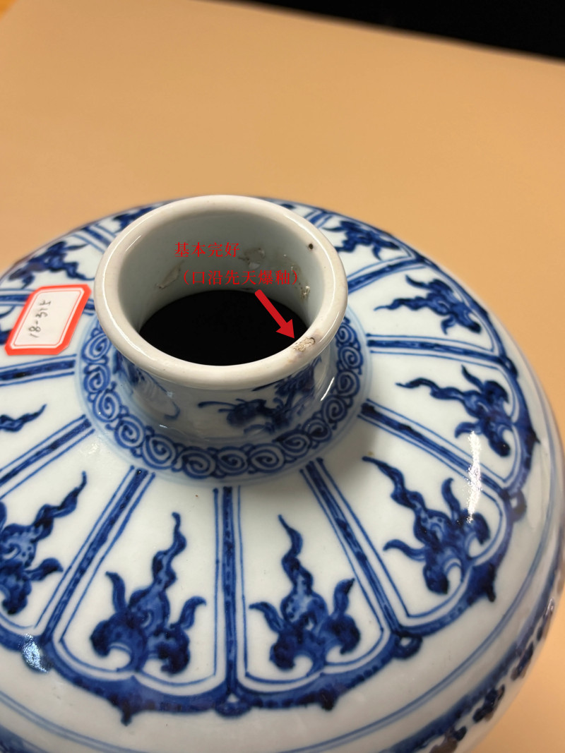 清乾隆 青花三多纹梅瓶 - 图10