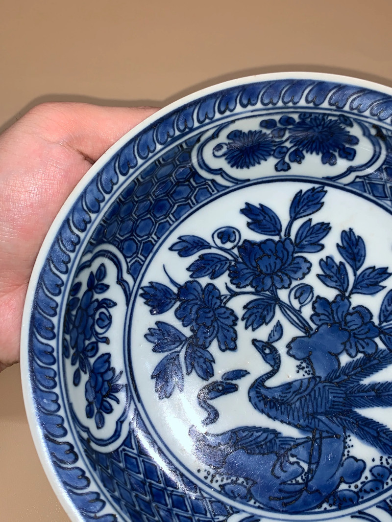 明嘉靖 青花孔雀牡丹纹折沿盘 - 图3