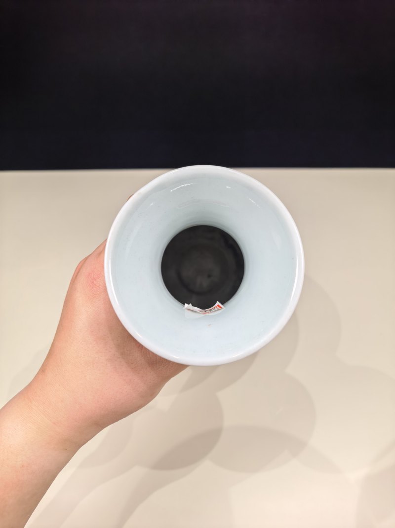 清道光 粉彩兰花纹瓶一对 - 图9