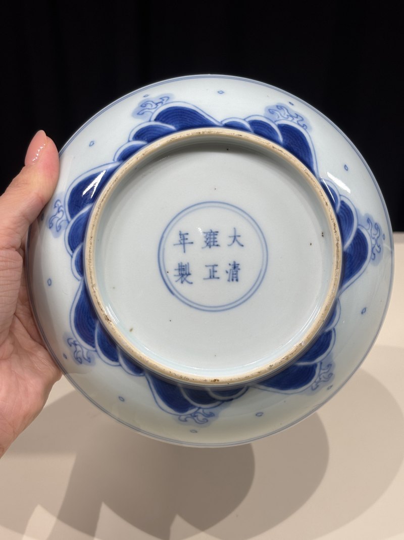 清雍正 青花鱼化龙纹盘一对 - 图6