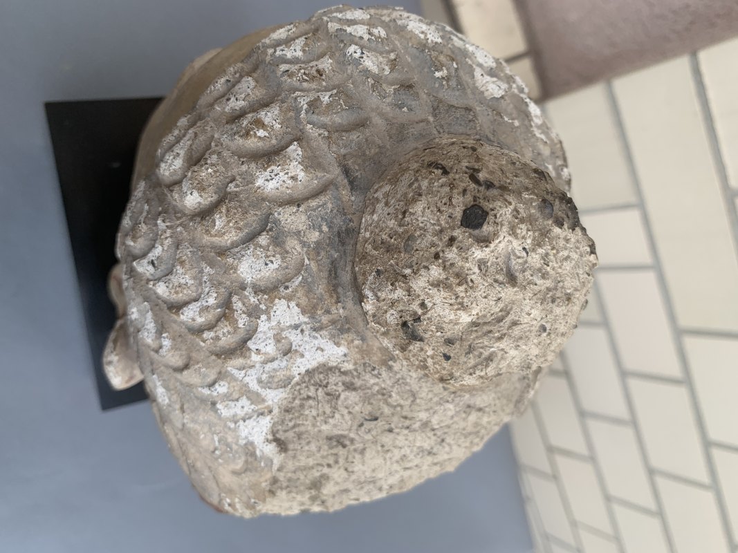 A STUCCO HEAD OF BUDDHA SHAKYAMUNI - 图10