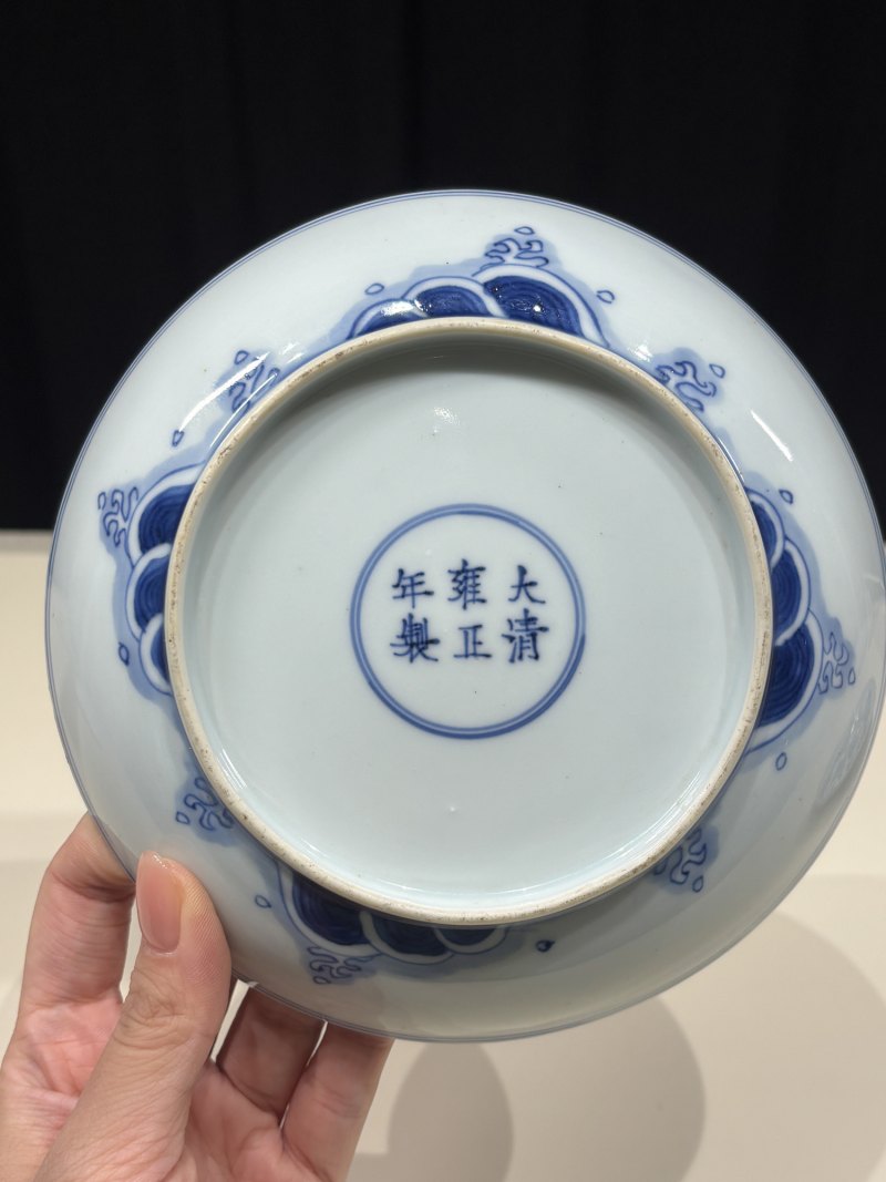 清雍正 青花鱼化龙纹盘一对 - 图11
