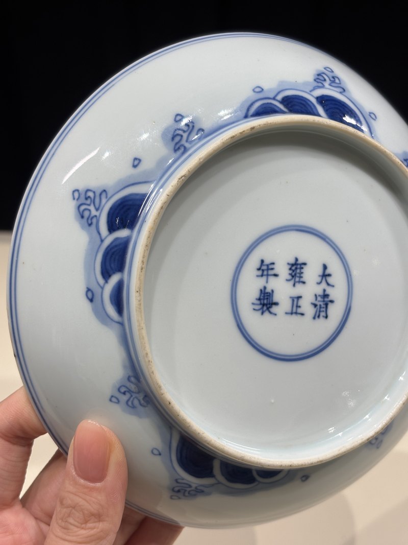 清雍正 青花鱼化龙纹盘一对 - 图12