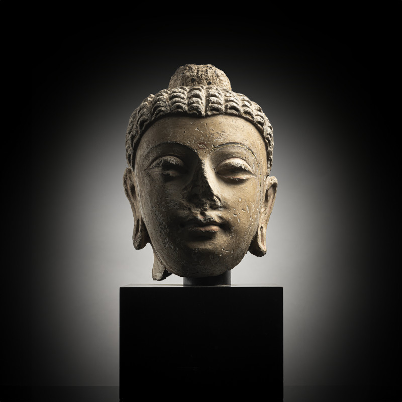 A STUCCO HEAD OF BUDDHA SHAKYAMUNI