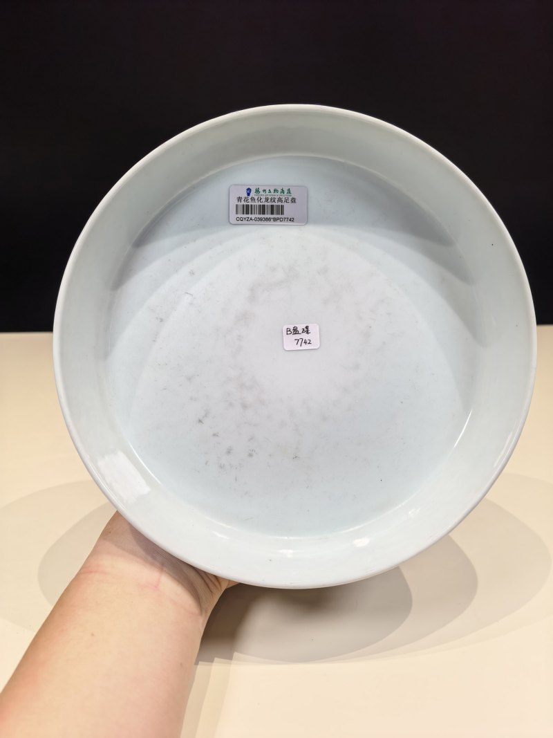清乾隆 青花海水江崖鱼化龙纹高足盘 - 图13