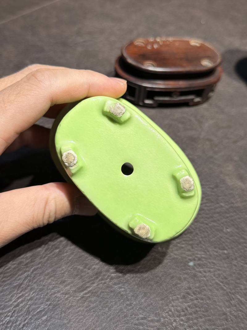 十八世纪 秋葵绿釉菖蒲盆一对（原配红木底座） - 图9
