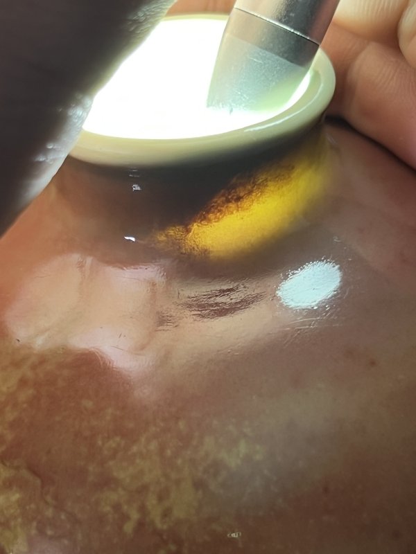 清康熙 豇豆红釉暗刻团龙纹太白尊 - 图19