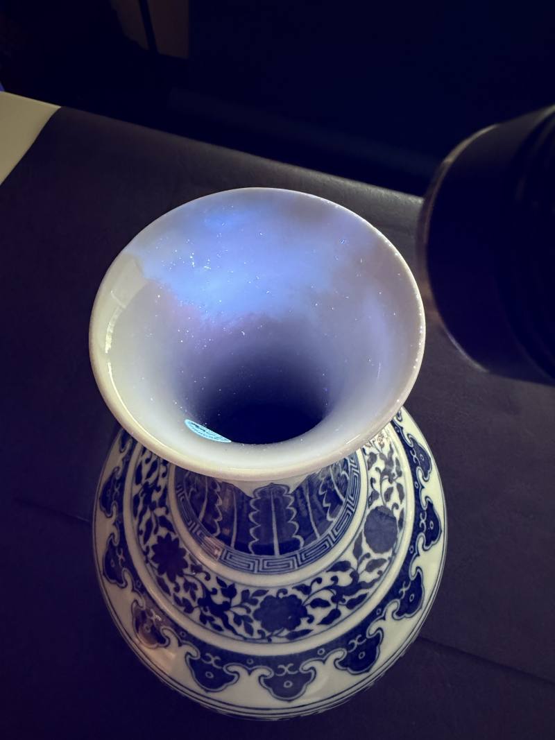 清光绪 青花缠枝莲纹赏瓶 - 图22