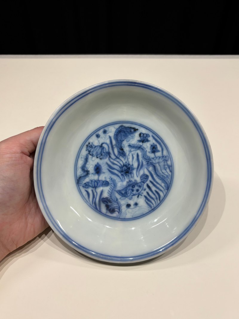 明成化 青花海水鱼藻纹盘 - 图3
