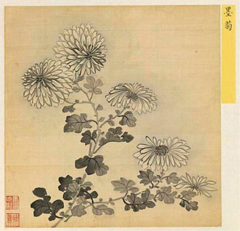 清雍正 珐琅彩胭脂红地菊花纹小盘 - 图4