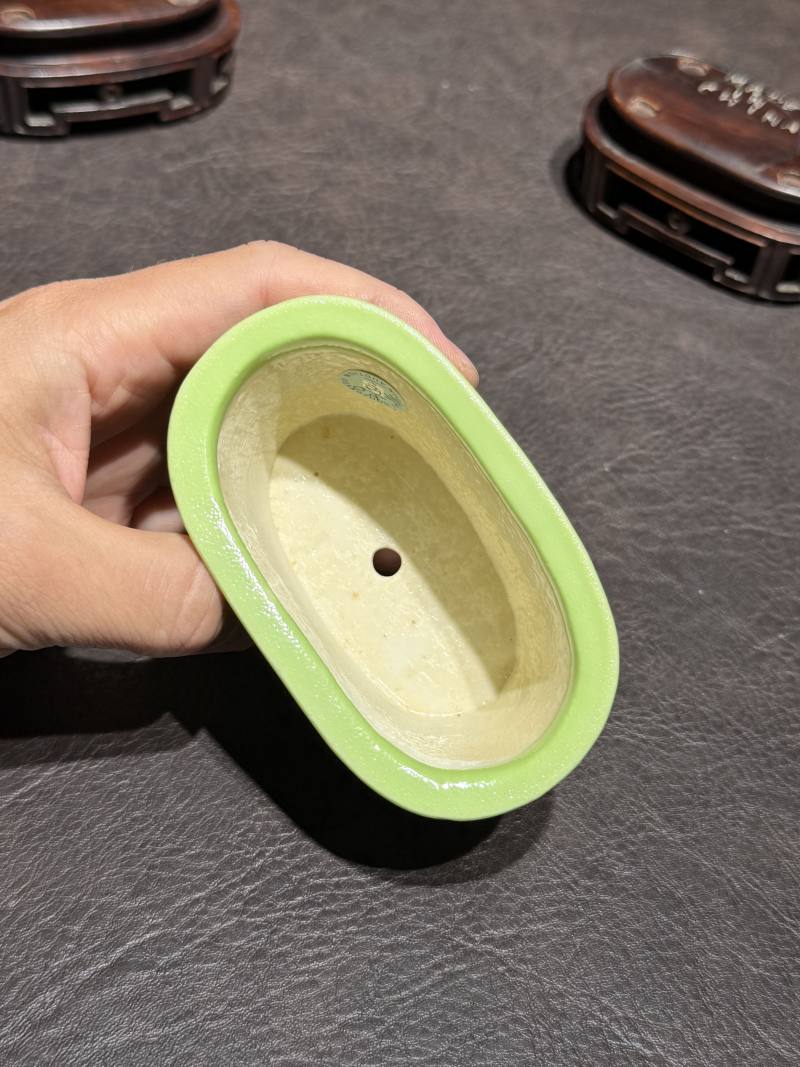 十八世纪 秋葵绿釉菖蒲盆一对（原配红木底座） - 图16