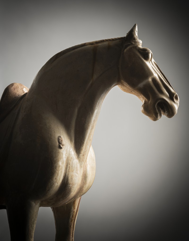 A partly amber-glazed earthenware figure of a standing horse - 图3