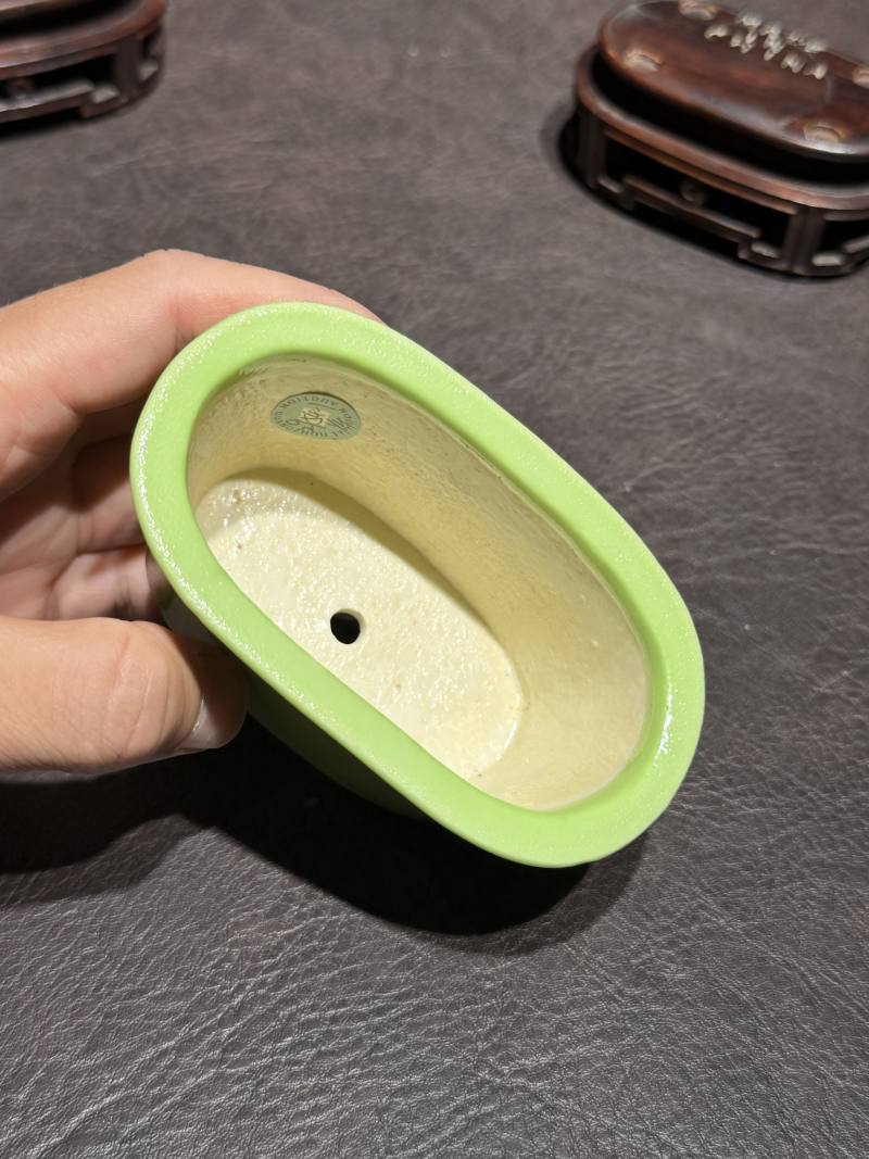十八世纪 秋葵绿釉菖蒲盆一对（原配红木底座） - 图17