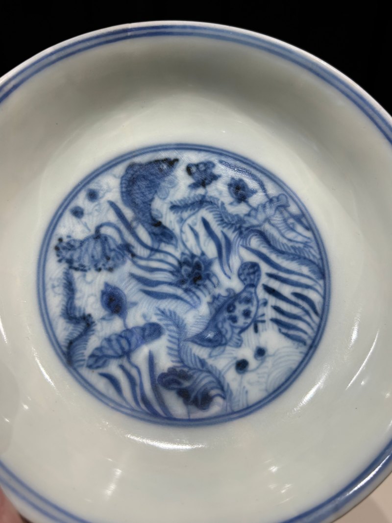明成化 青花海水鱼藻纹盘 - 图5
