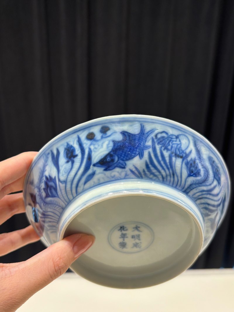 明成化 青花海水鱼藻纹盘 - 图6