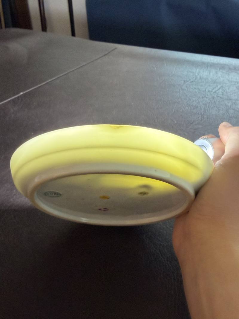 清雍正 粉彩仕女图折沿洗 - 图12