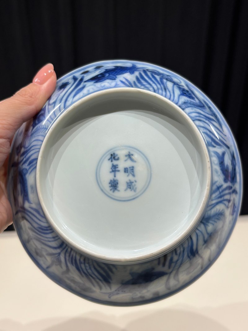 明成化 青花海水鱼藻纹盘 - 图9